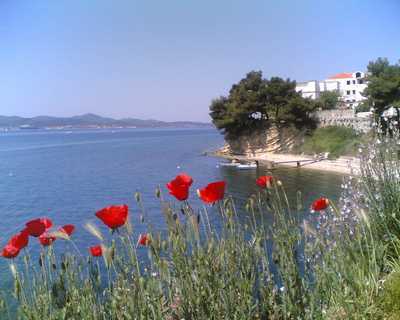 Apartmány SEA STAR Zadar